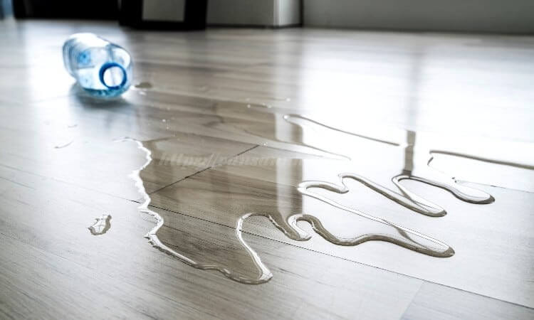 Giải pháp gỗ nội thất chống ẩm tối ưu cho khu vực bếp và phòng tắm - CÔNG TY TNHH GỖ SÀI GÒN TÍN VIỆT